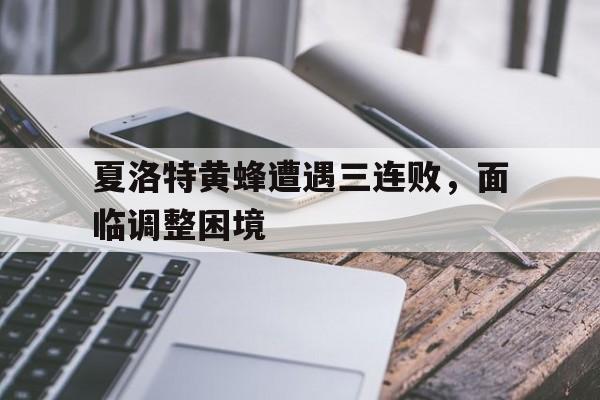 夏洛特黄蜂遭遇三连败，面临调整困境的简单介绍